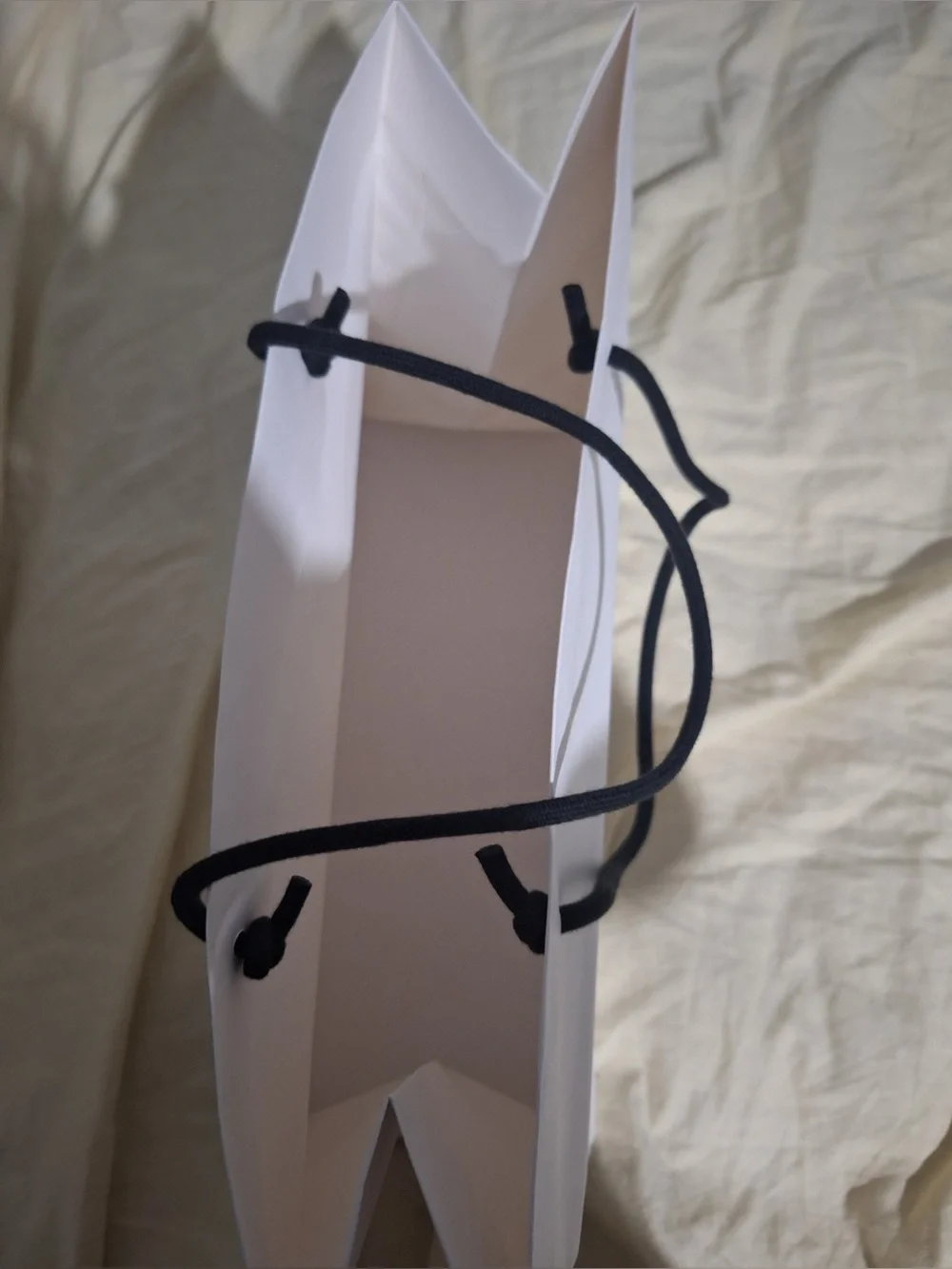 Buck mason gift bag